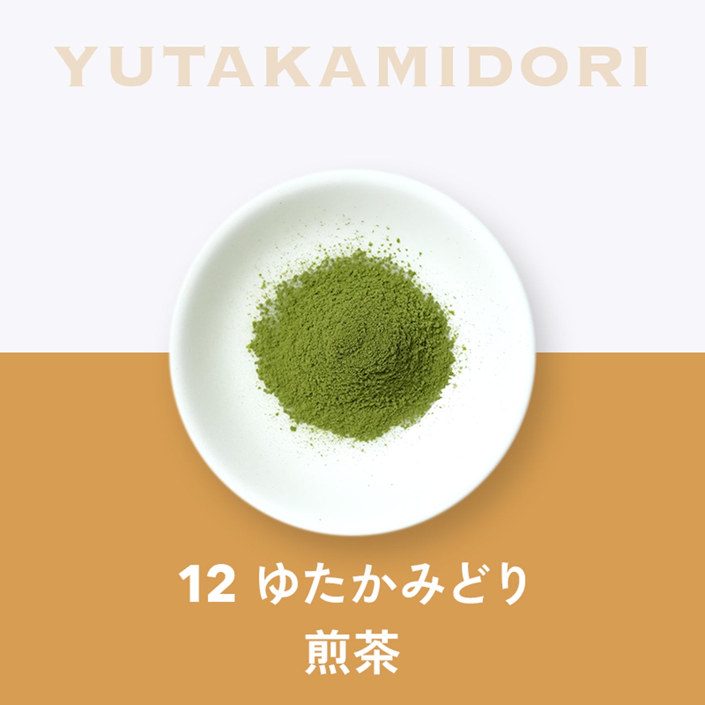 12 ゆたかみどり 煎茶 鹿児島 知覧