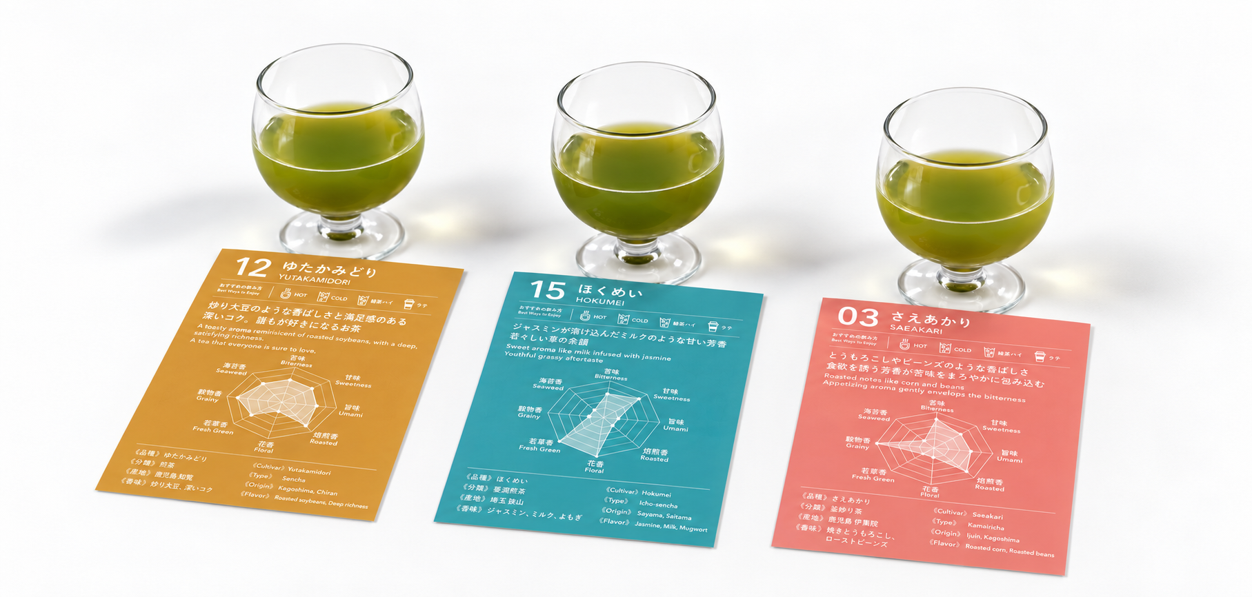 ゆたかみどり、ほくめい、さえあかりの三種類のお茶を、テイスティングカードとともに飲み比べ